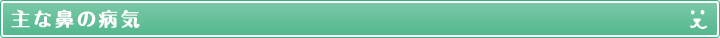 主な鼻の病気