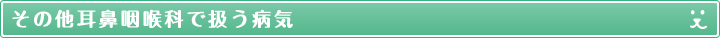 その他耳鼻咽喉科で扱う病気