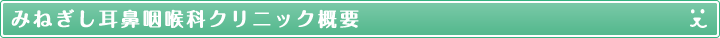 みねぎし耳鼻咽喉科クリニック概要